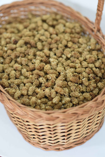 Picture of Dried Manas