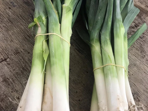 Picture of Leek (1 KG)