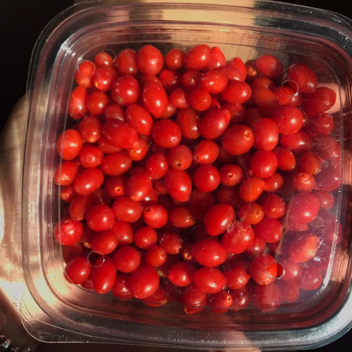 Picture of Goji Berry