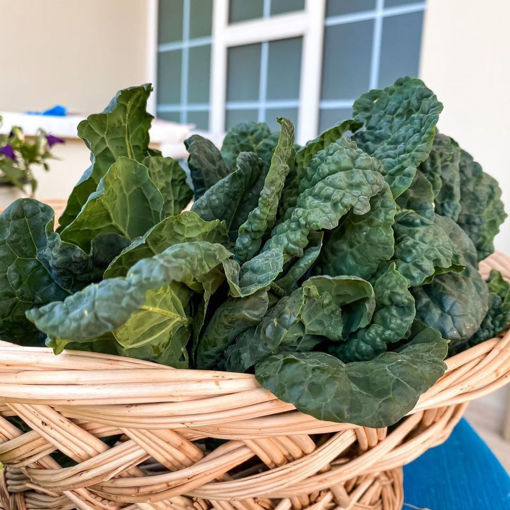 Picture of Spinach (1 KG)
