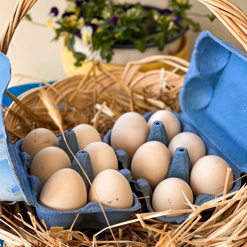 Picture of Farm Eggs