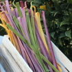 Picture of Pasta Linguine Shumengjyreshe (400 GR)