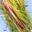 Picture of Pasta Linguine Shumengjyreshe (400 GR)