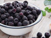 Picture of Blackberry