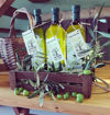 Picture of Olive Oil