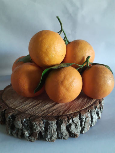 Picture of Oranges (1KG)