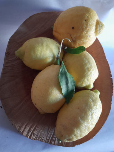 Picture of Lemons (1KG)