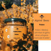 Picture of Pollen