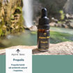 Picture of Propolis