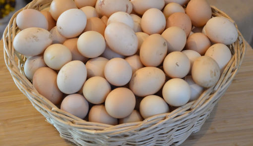 Picture of Village Eggs